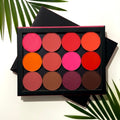 Vee Beauty Long Lasting Powder Blush (Highly Pigmented)